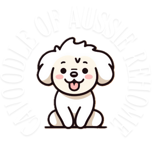 Cavoodle Of Aussie 