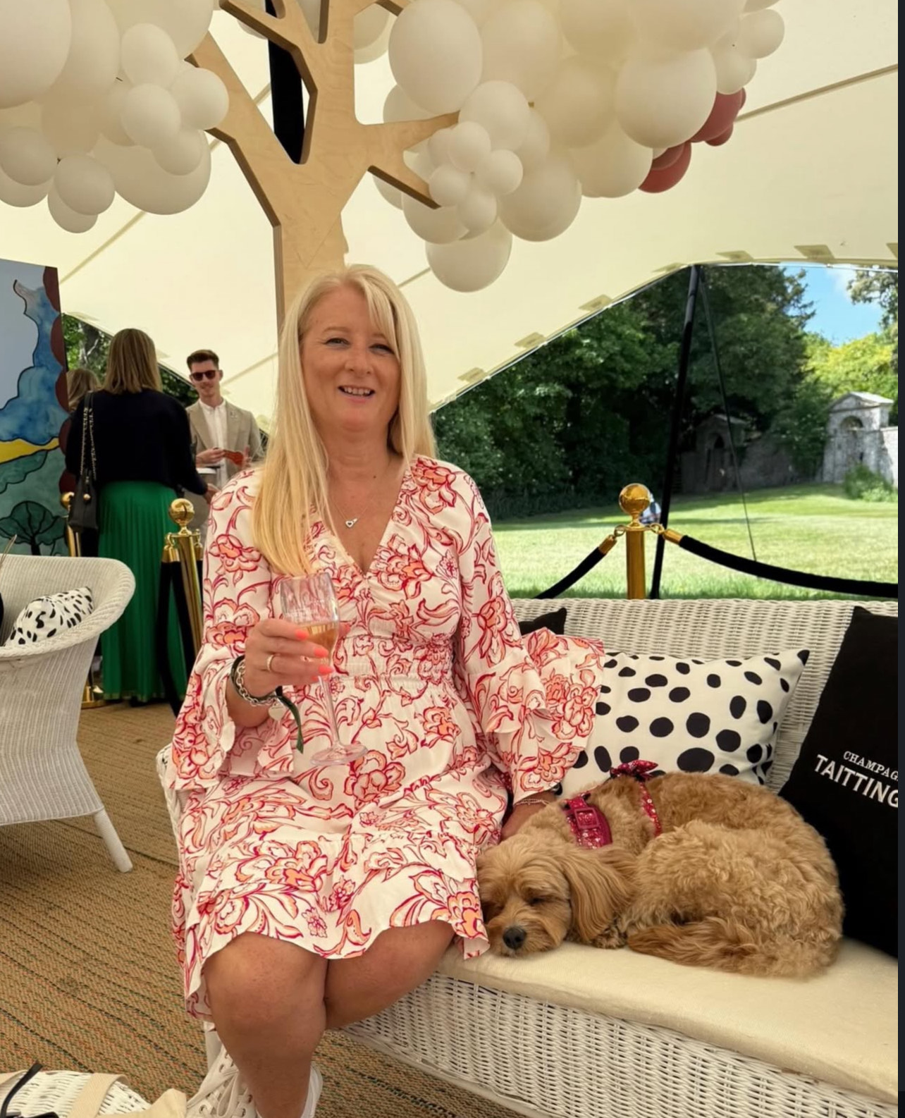 cavoodle adoption near me